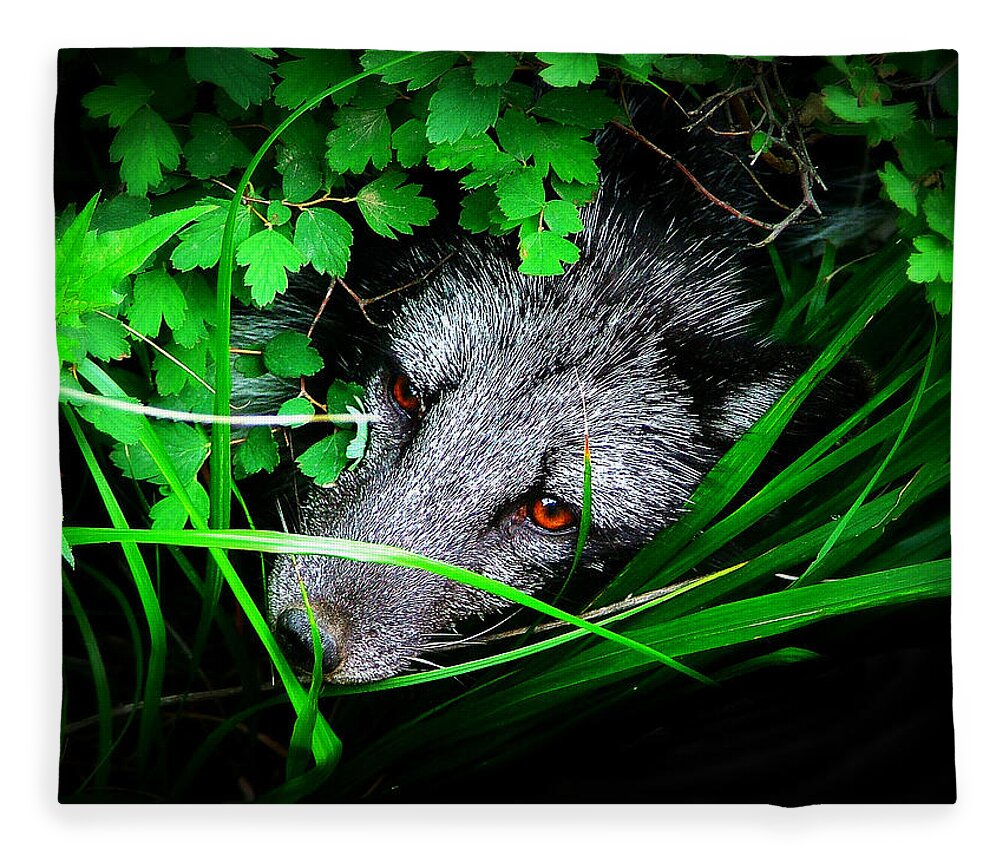 Eyes Fleece Blanket featuring the photograph Eyes in the Bushes by Zinvolle Art