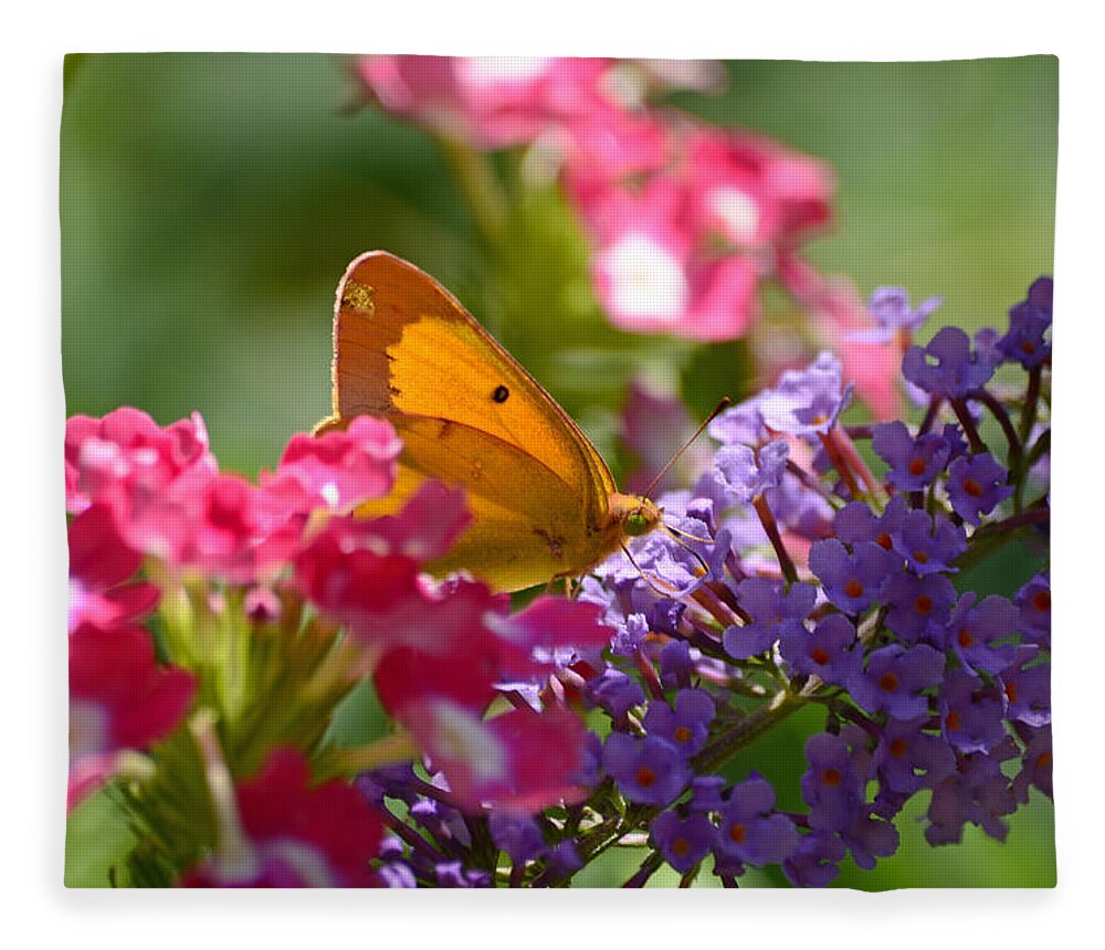 Butterfly Fleece Blanket featuring the photograph Eyes of Green by Lori Tambakis