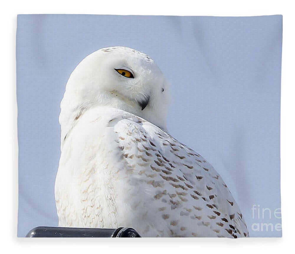 Maine Fleece Blanket featuring the photograph Eyes on You by Karin Pinkham