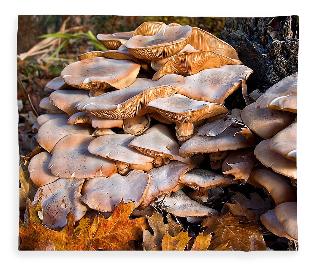 Mushrooms Fleece Blanket featuring the photograph Fabulous Fungi by Kathleen Bishop