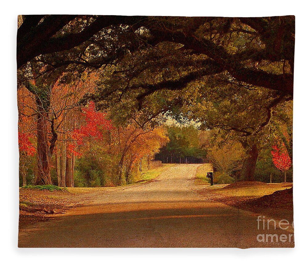 Fall Fleece Blanket featuring the photograph Fall Along A Country Road by Kathy Baccari