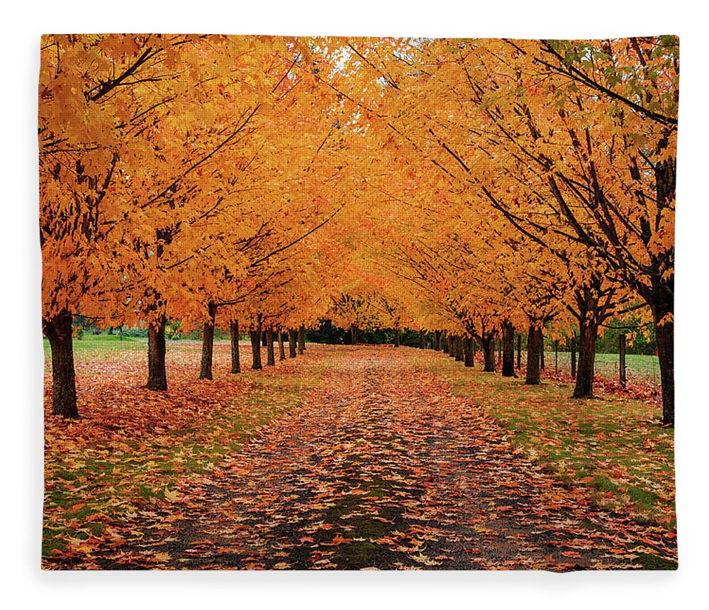Scenics Fleece Blanket featuring the photograph Fall Driveway by Piriya Photography