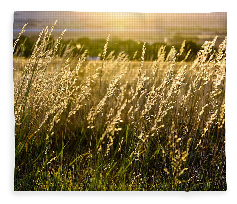 Fall Grass Fleece Blanket featuring the photograph Fall Glow by Juli Ellen