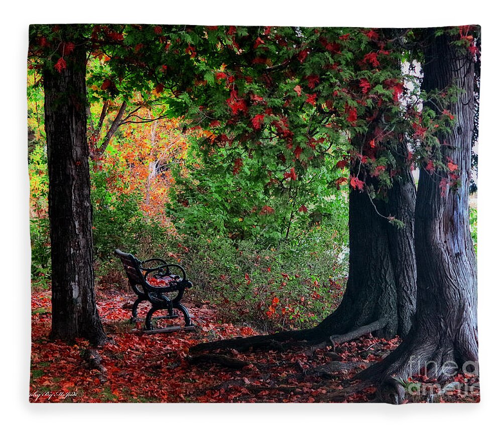 Autumn Fleece Blanket featuring the photograph Fall In Henes Park by Ms Judi