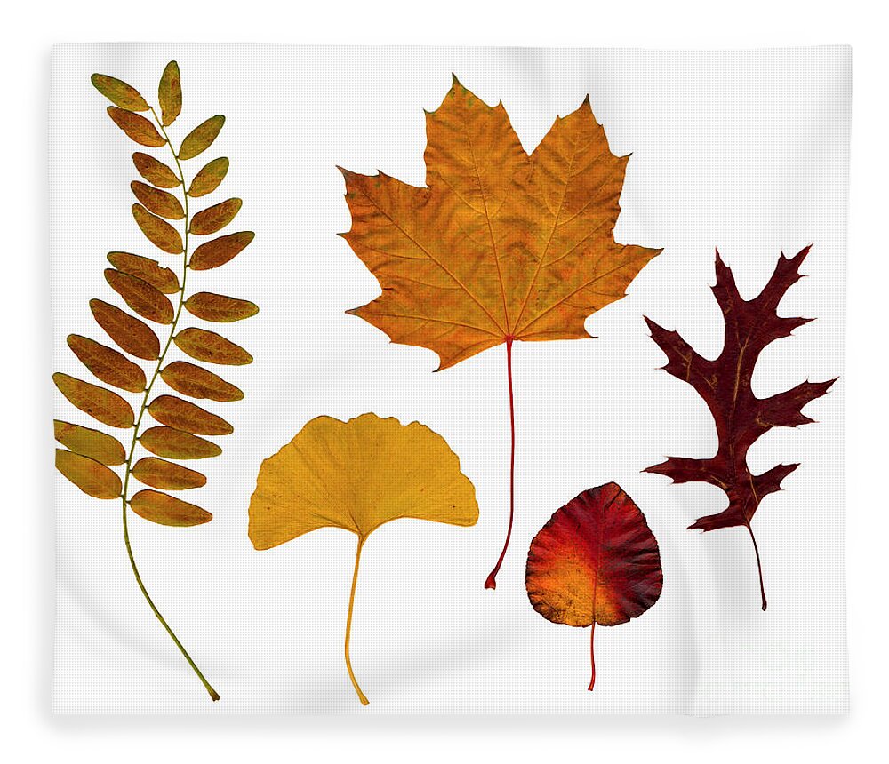 Leaf Fleece Blanket featuring the photograph Fall leaves by Tony Cordoza