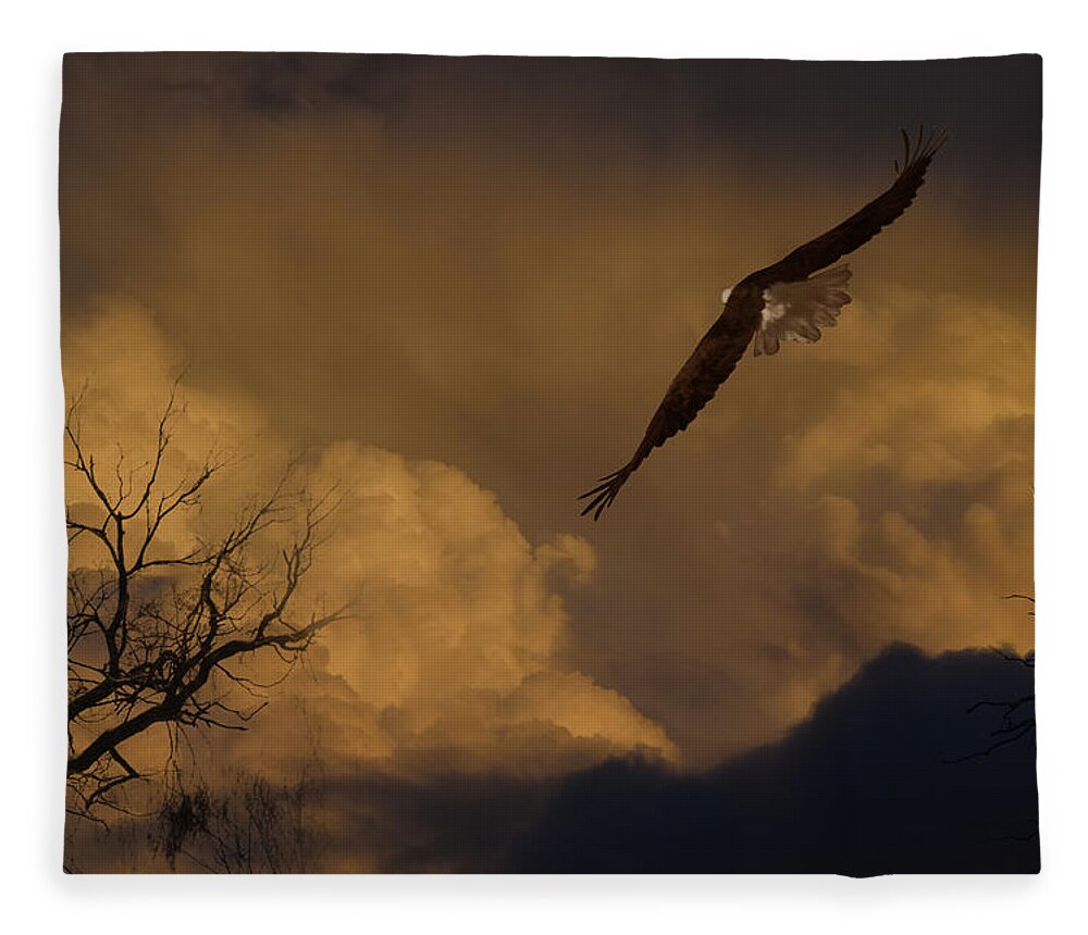 Fearless Eagle Fleece Blanket featuring the photograph Fearless Eagle by Frank Wilson