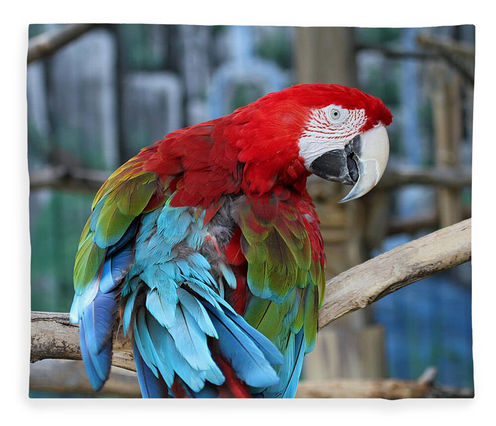 Parrot Fleece Blanket featuring the photograph Feathers by Jackson Pearson