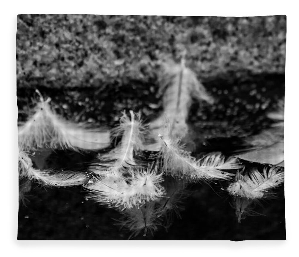 Feathers Fleece Blanket featuring the photograph Angels Pass By - monochrome by Marilyn Wilson