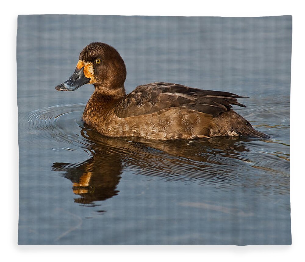 Animal Fleece Blanket featuring the photograph Female Greater Scaup by Jeff Goulden