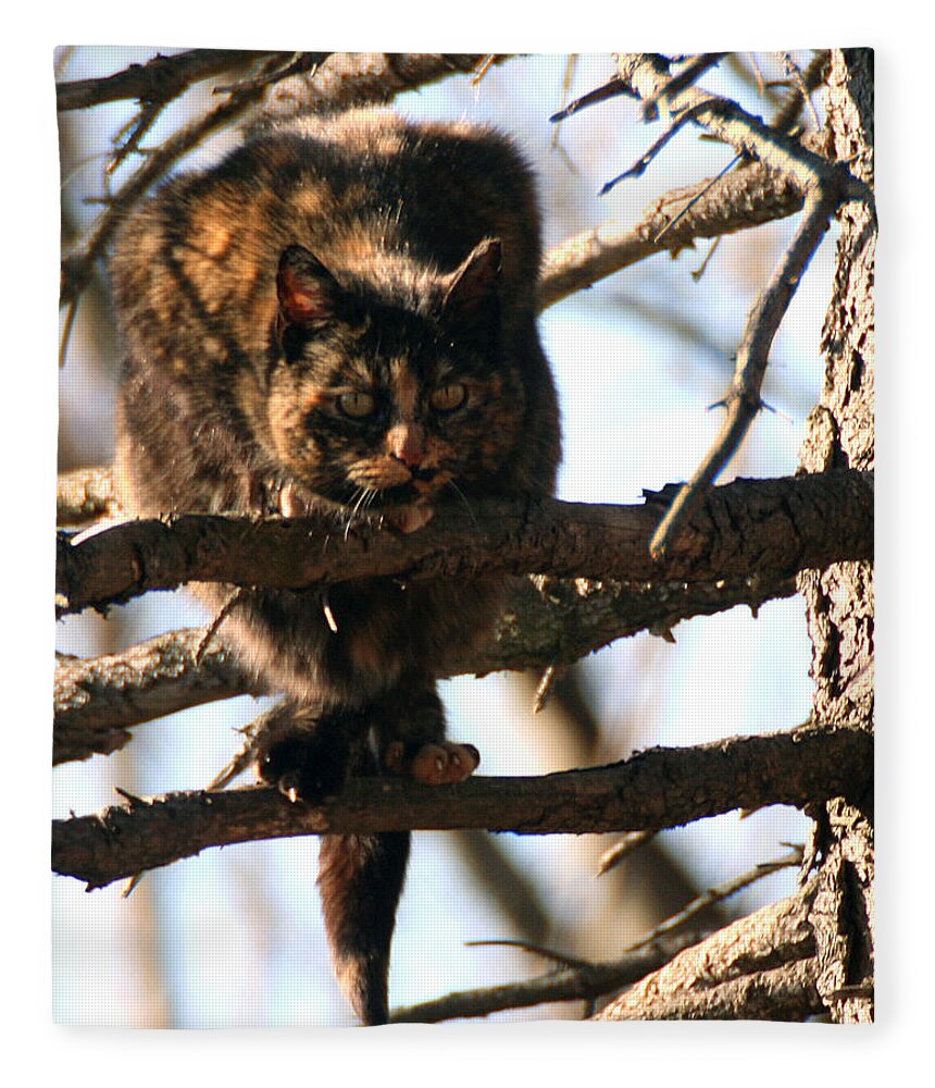 Feral Fleece Blanket featuring the photograph Feral Cat in Pine Tree by William Selander