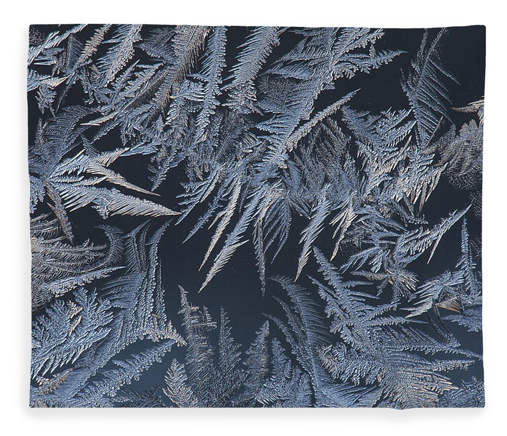 Abstract Fleece Blanket featuring the photograph Fern frost blooming on a window by Ulrich Kunst And Bettina Scheidulin
