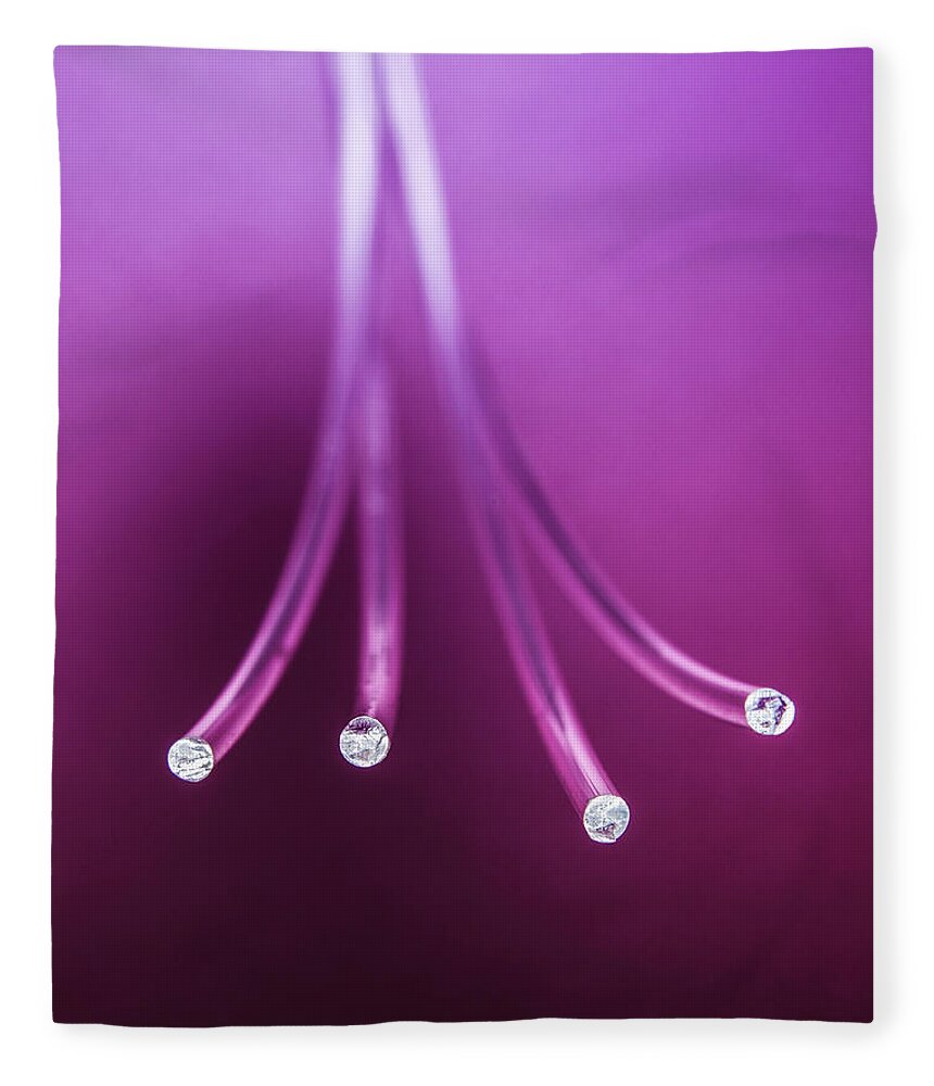Internet Fleece Blanket featuring the photograph Fibre Optic Cables by Jonathan Kitchen
