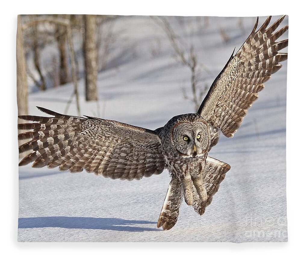 Owl Fleece Blanket featuring the photograph Final approach by Heather King