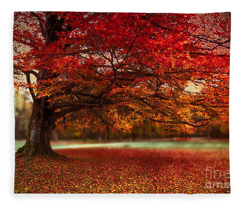 Autumn Fleece Blanket featuring the photograph Finest Fall by Hannes Cmarits