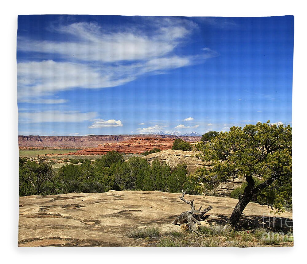 Canyon Lands Fleece Blanket featuring the photograph First View of Canyon Lands NP by Kathy McClure