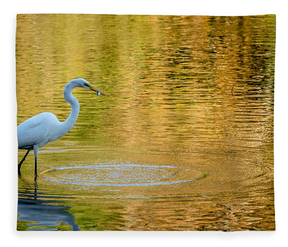 Fishing Fleece Blanket featuring the photograph Fishing by Wade Brooks