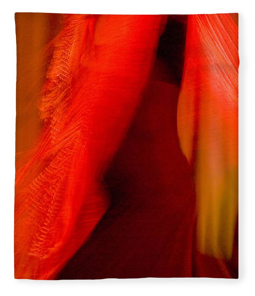 Andalusia Fleece Blanket featuring the photograph Flamenco Series 10 by Catherine Sobredo