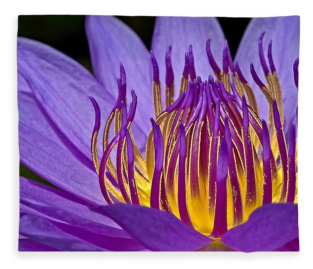Waterlily Fleece Blanket featuring the photograph Flaming Heart by Susan Candelario