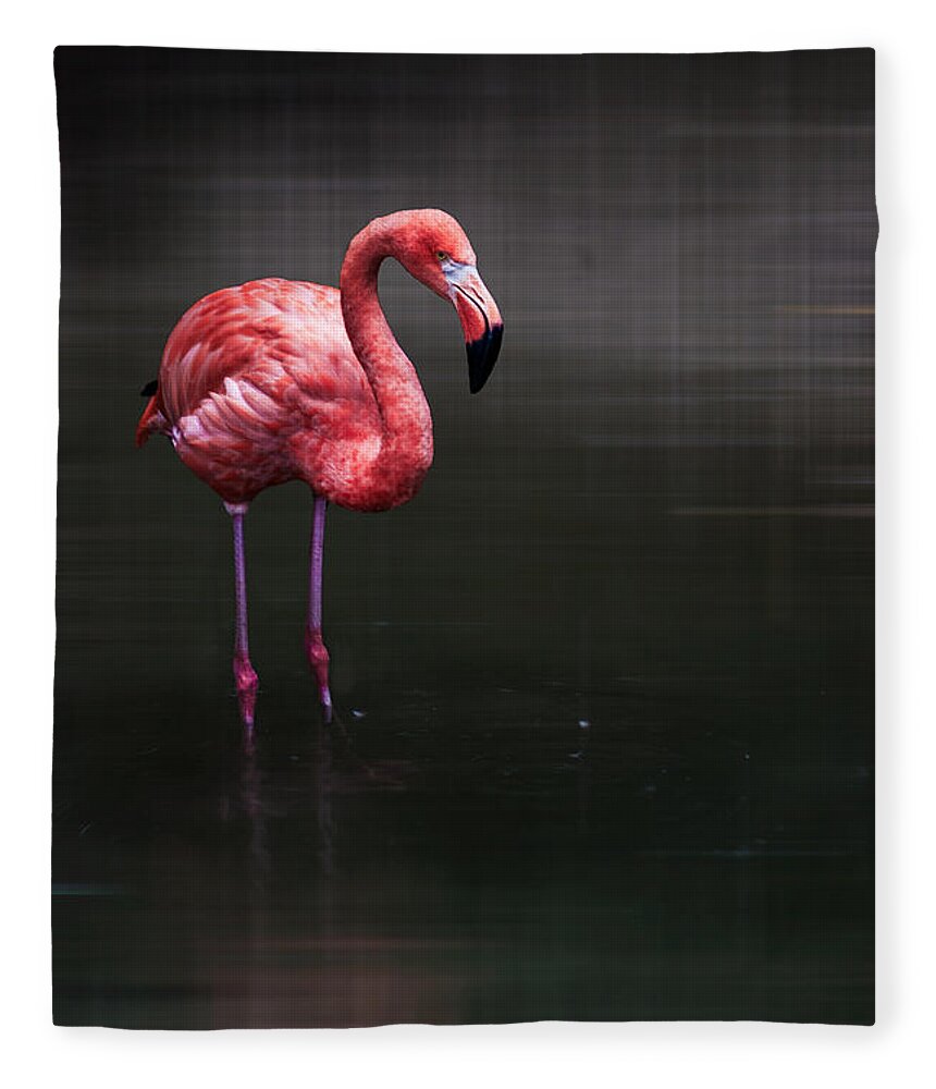 Animal Fleece Blanket featuring the photograph Flamingo by Hannes Cmarits