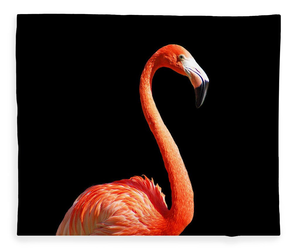 Flamingo Fleece Blanket featuring the photograph Flamingo Portrait by Aimee L Maher ALM GALLERY