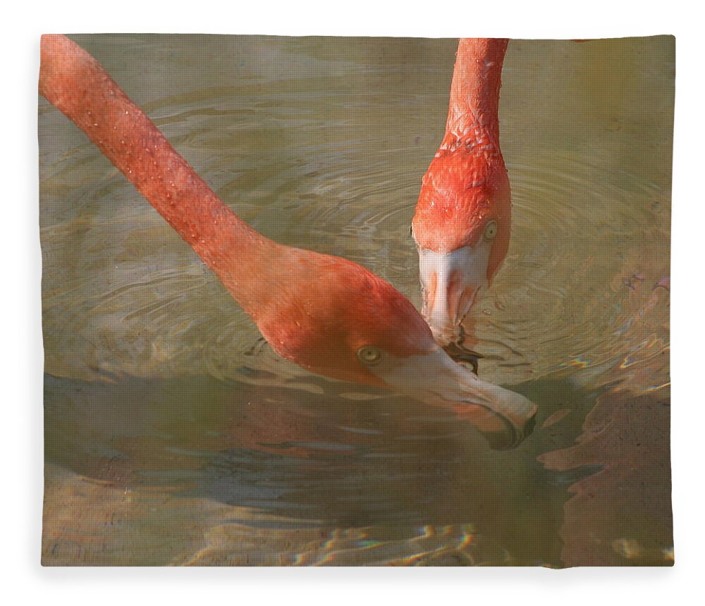 Flamingo Fleece Blanket featuring the photograph A Pair of Flamingoes by Valerie Collins