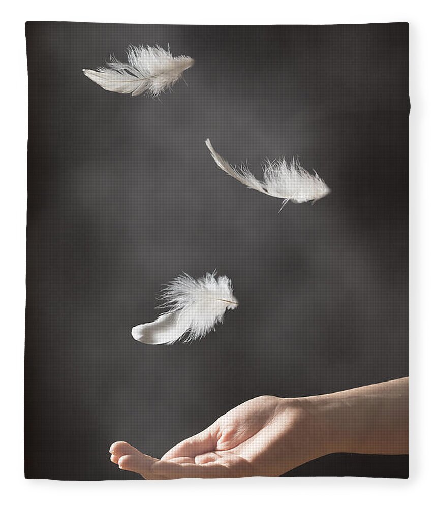 https://render.fineartamerica.com/images/rendered/default/flat/blanket/images-medium-5/floating-feathers-christopher-elwell-and-amanda-haselock.jpg?&targetx=0&targety=-115&imagewidth=799&imageheight=1183&modelwidth=800&modelheight=952&backgroundcolor=2E2A28&orientation=0&producttype=blanket-coral-50-60
