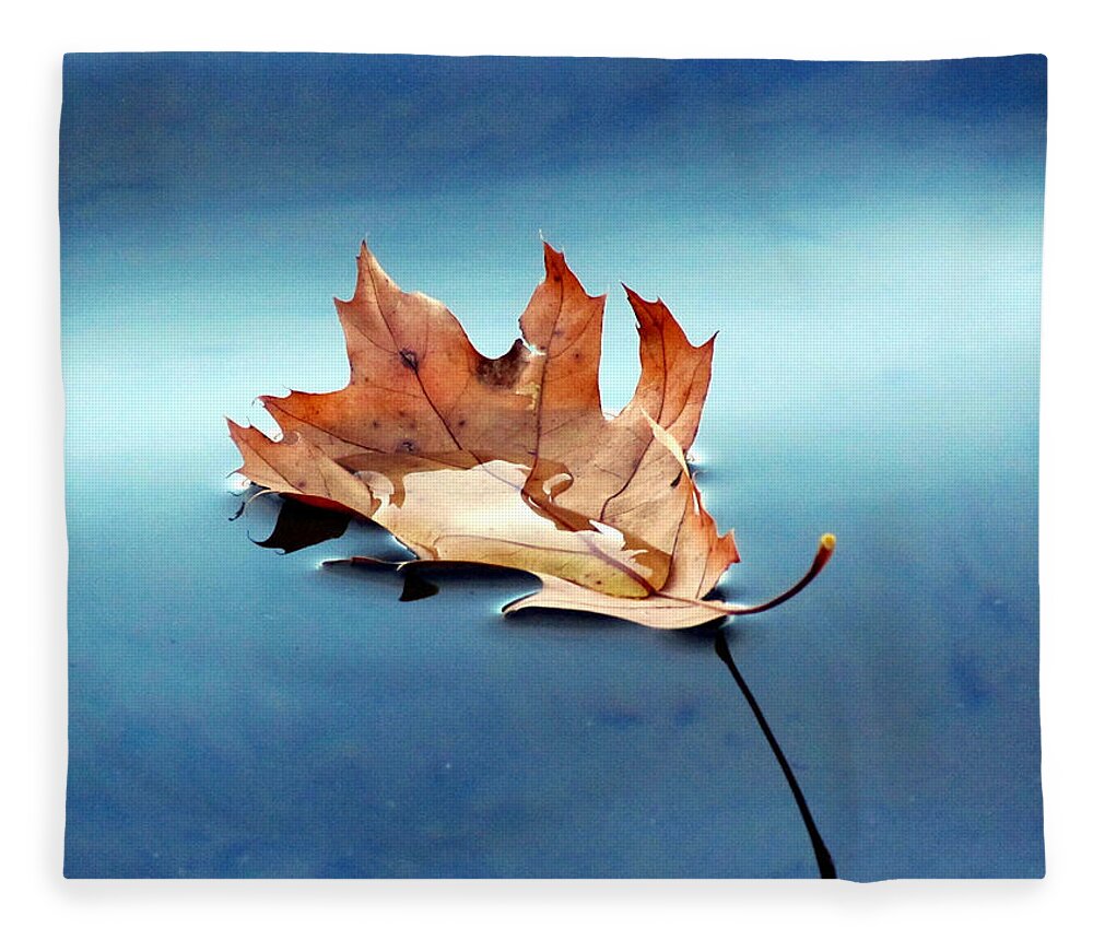 Leaf Fleece Blanket featuring the photograph Floating Oak Leaf by David T Wilkinson