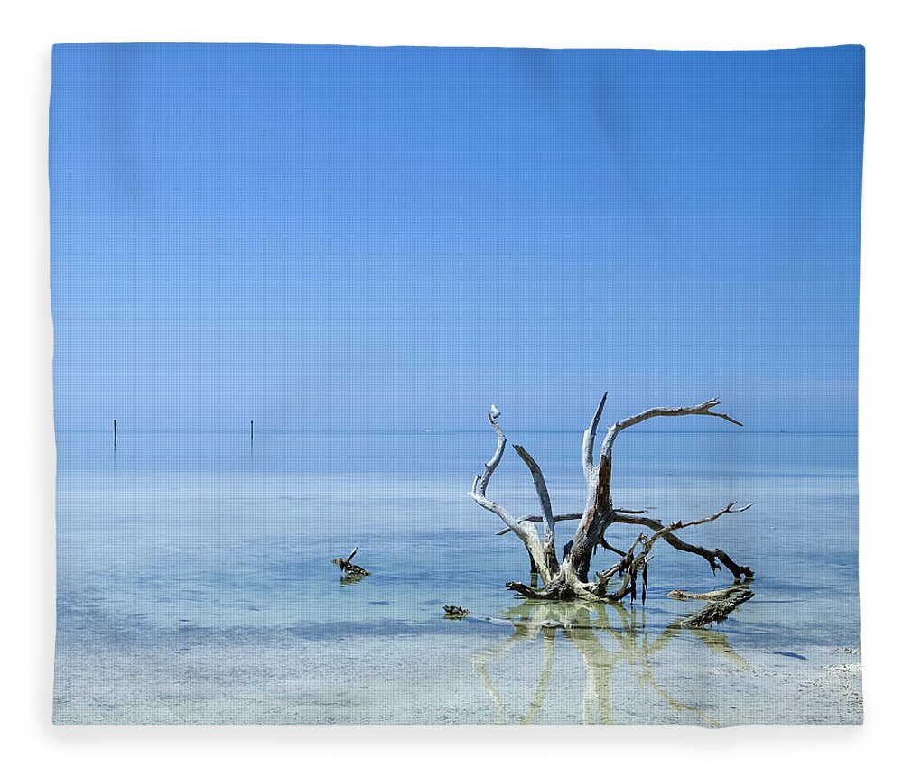 America Fleece Blanket featuring the photograph FLORIDA KEYS Lonely Root by Melanie Viola