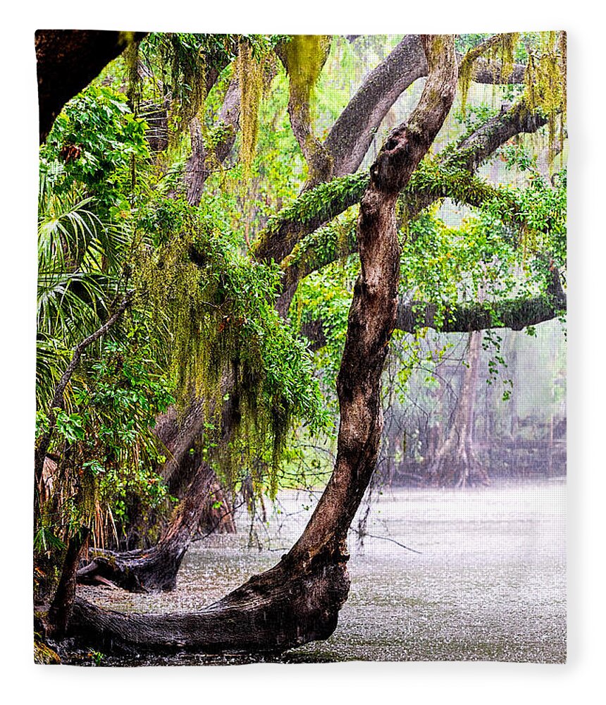 Christopher Holmes Photography Fleece Blanket featuring the photograph Florida Naturally 3 by Christopher Holmes