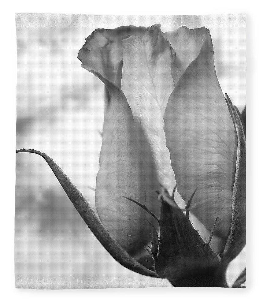 Blooming Rose Fleece Blanket featuring the photograph Blooming Rose by Mike McGlothlen