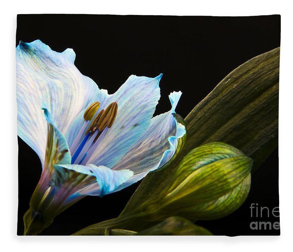 Flowers Fleece Blanket featuring the photograph Flower by Gunnar Orn Arnason