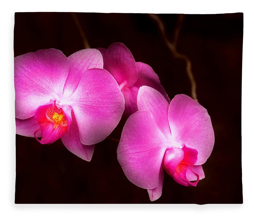 Orchid Fleece Blanket featuring the photograph Flower - Orchid - Better in a set by Mike Savad