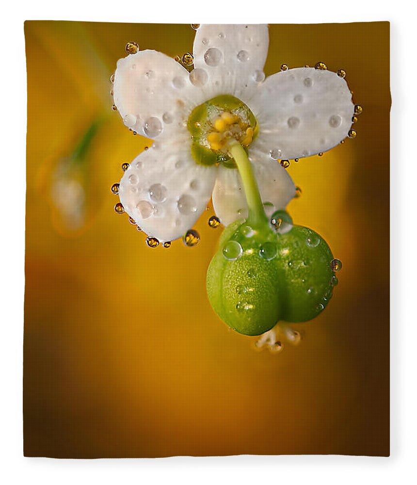 2012 Fleece Blanket featuring the photograph Flowering Spurge by Robert Charity
