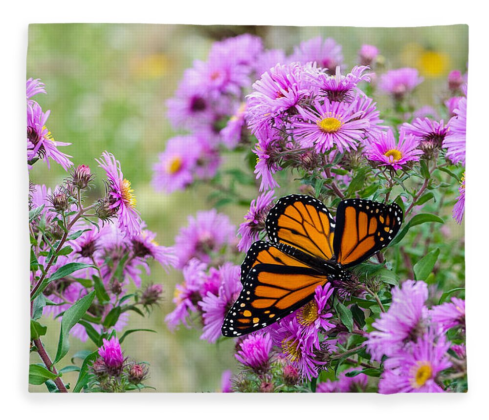Monarch Fleece Blanket featuring the photograph Flowers And Butterfly by Susan McMenamin