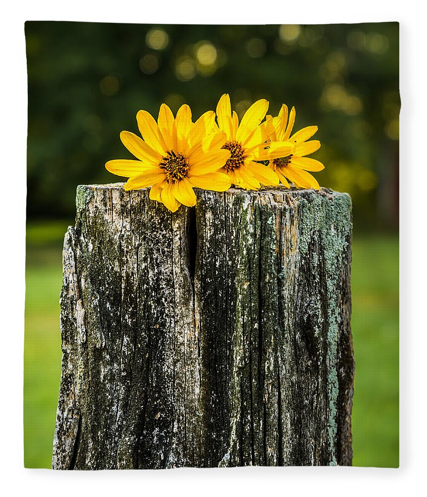 Bokeh Fleece Blanket featuring the photograph Flowers on a Post by Ron Pate