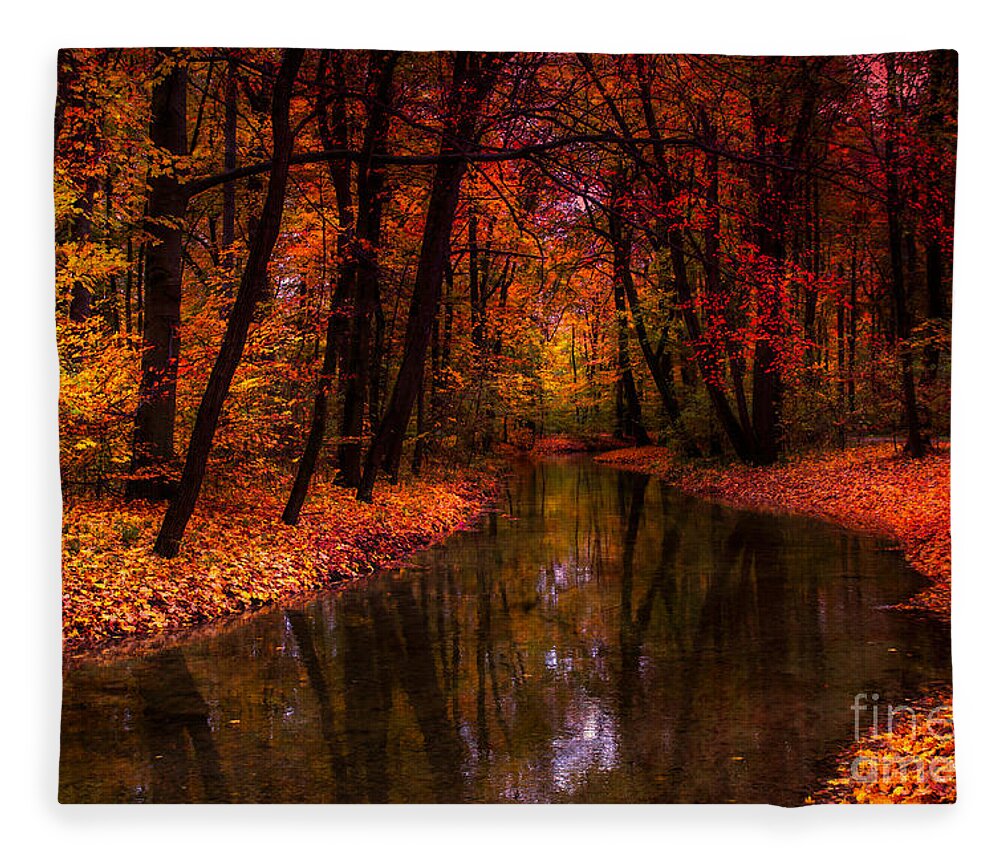 Autumn Fleece Blanket featuring the photograph Flowing Through The Colors Of Fall by Hannes Cmarits