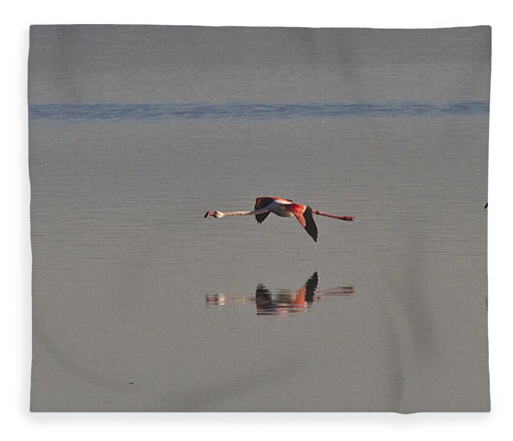 Heiko Fleece Blanket featuring the photograph Fly Fly Away My Pretty Flamingo by Heiko Koehrer-Wagner