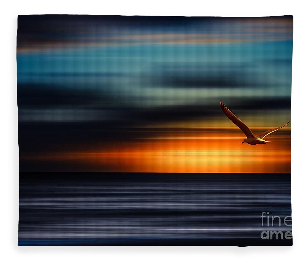 Sylt Fleece Blanket featuring the photograph Flying Into The Sunset by Hannes Cmarits