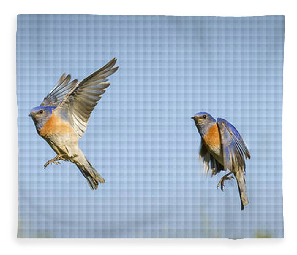 Birds Fleece Blanket featuring the photograph Flying by Jean Noren