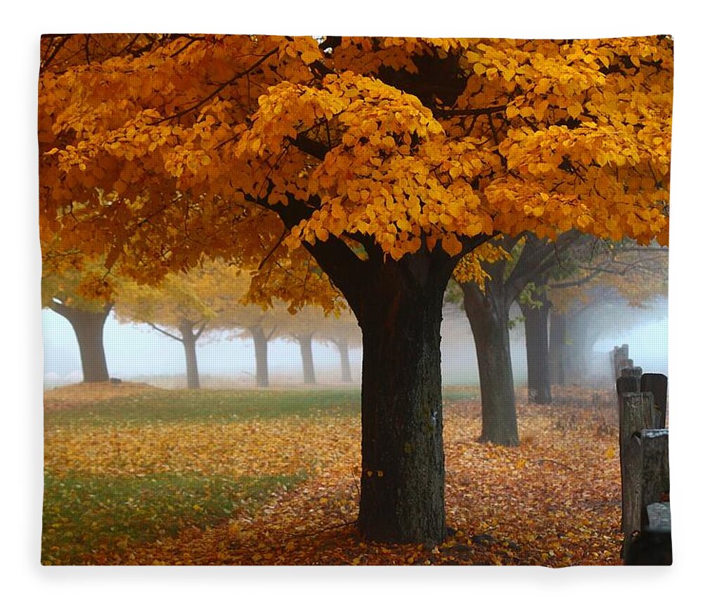 Fog Fleece Blanket featuring the photograph Foggy Fall Morning by Lynn Hopwood