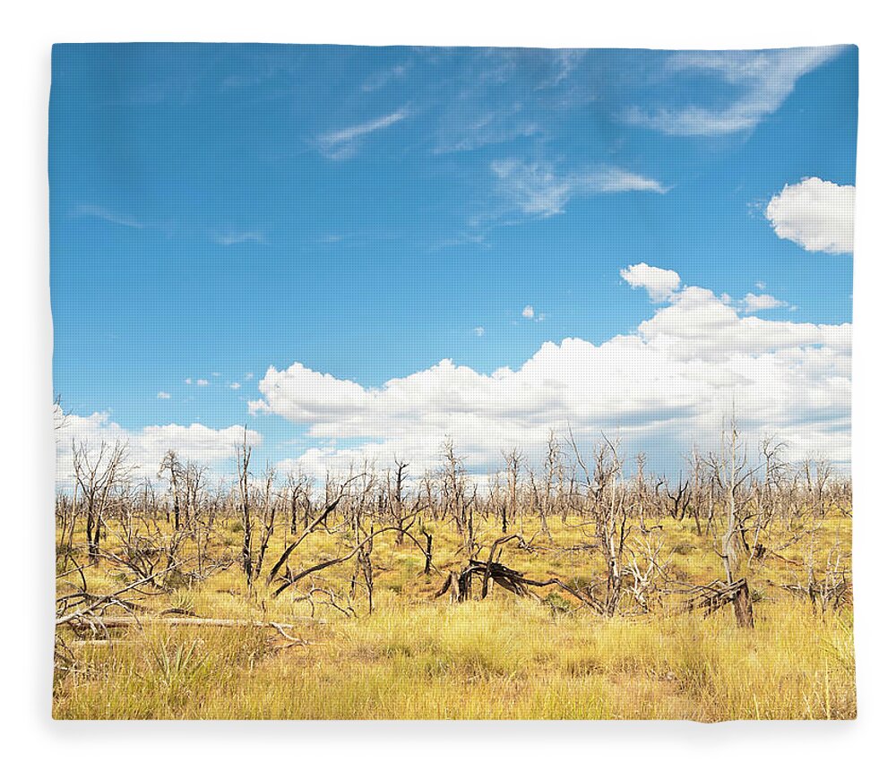 Native American Reservation Fleece Blanket featuring the photograph Forest After Fire by Helovi