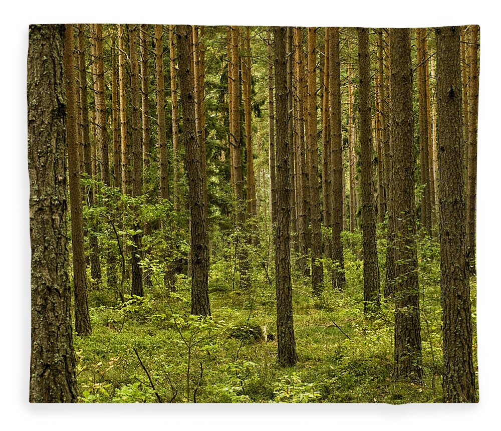 Sweden Fleece Blanket featuring the photograph Forest for the Trees by Nancy De Flon