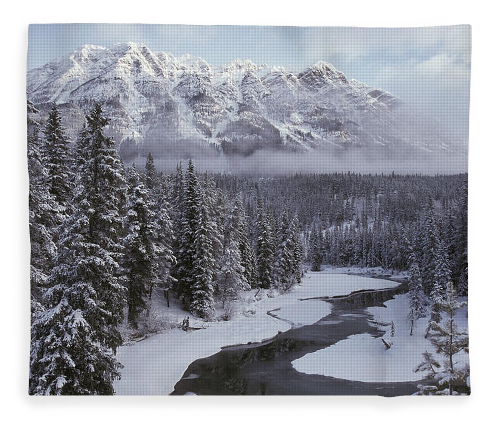 Flpa Fleece Blanket featuring the photograph Forest Mt. Robson Provincial Park Bc by Mark Newman