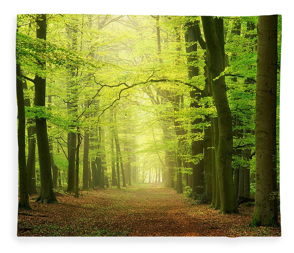 Tranquility Fleece Blanket featuring the photograph Forest Path by Bob Van Den Berg Photography