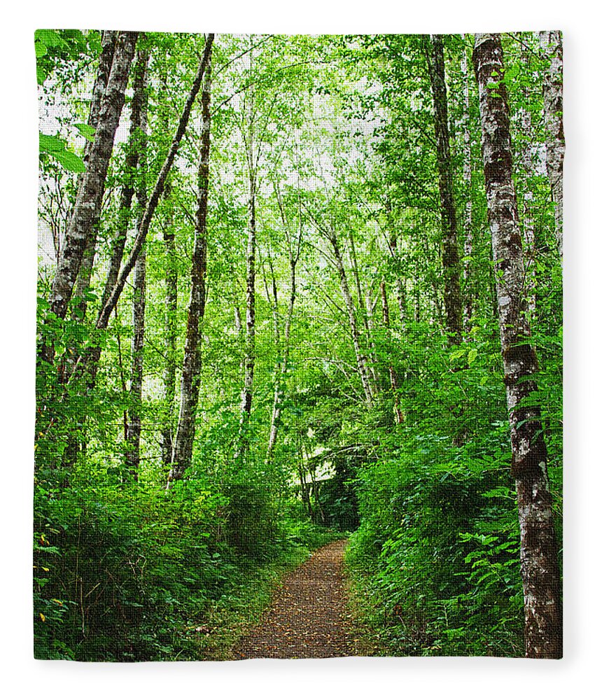 Forest Trail To Follow Fleece Blanket featuring the photograph Forest Trail To Follow by Tom Janca