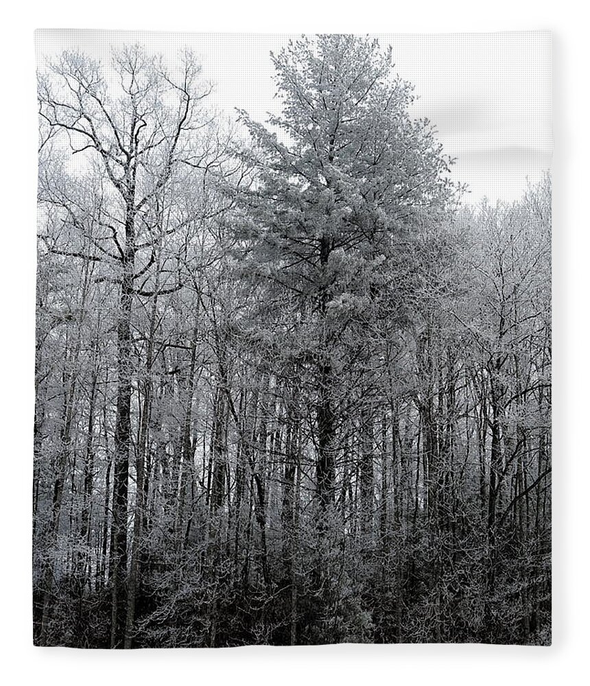 Landscape Fleece Blanket featuring the photograph Forest With Freezing Fog by Daniel Reed