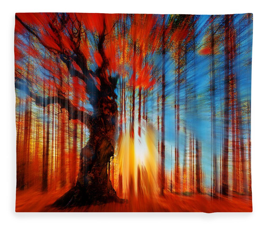 Color Fleece Blanket featuring the painting Forrest And Light by Tony Rubino