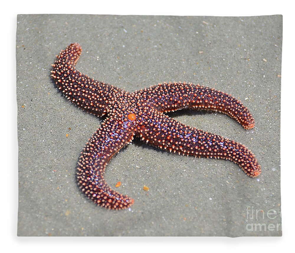 Starfish Fleece Blanket featuring the photograph Four Legged Starfish by Kathy Baccari