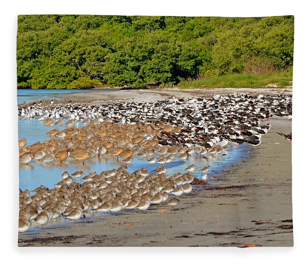 Landscape Fleece Blanket featuring the photograph Four Species of Birds at Roost on Tampa Bay Beach by Jeff at JSJ Photography