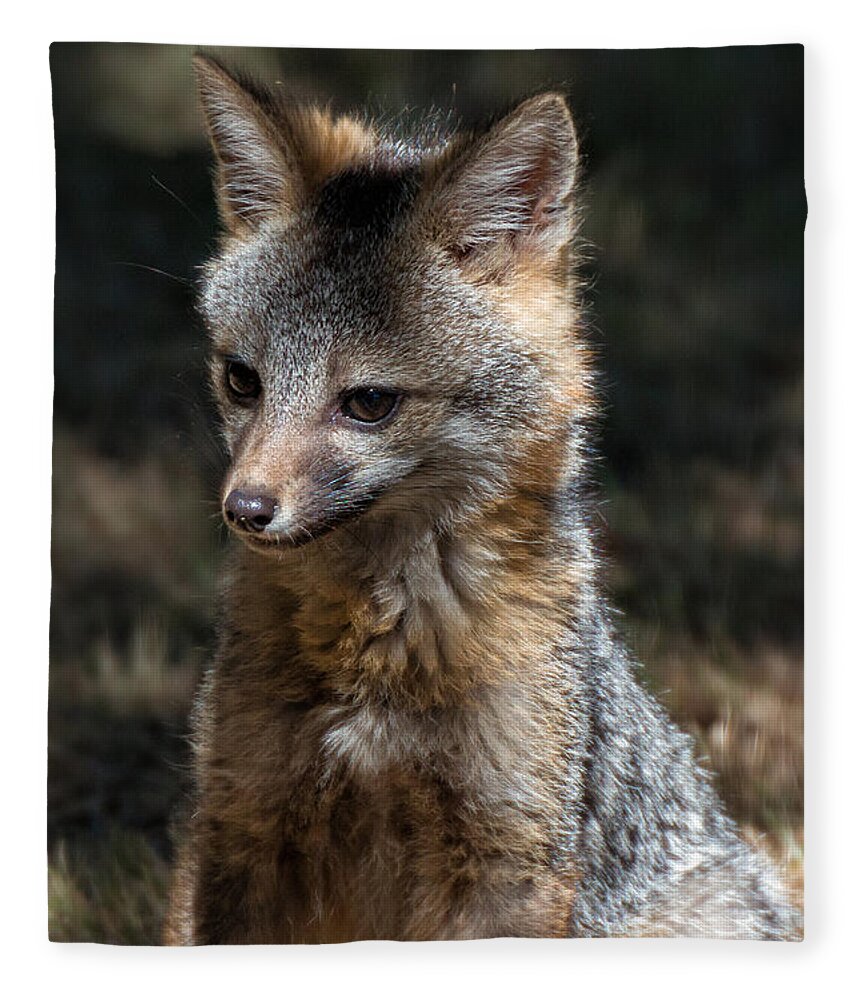 Fuchswelpe Fleece Blanket featuring the photograph Foxy by Kathleen Bishop